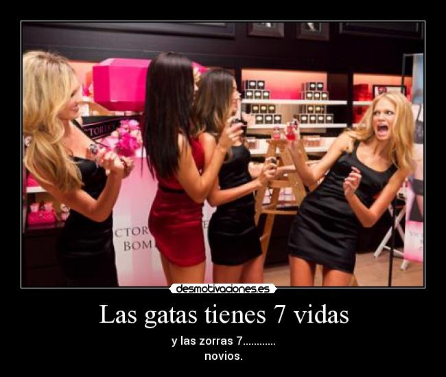 Las gatas tienes 7 vidas - y las zorras 7............
novios.