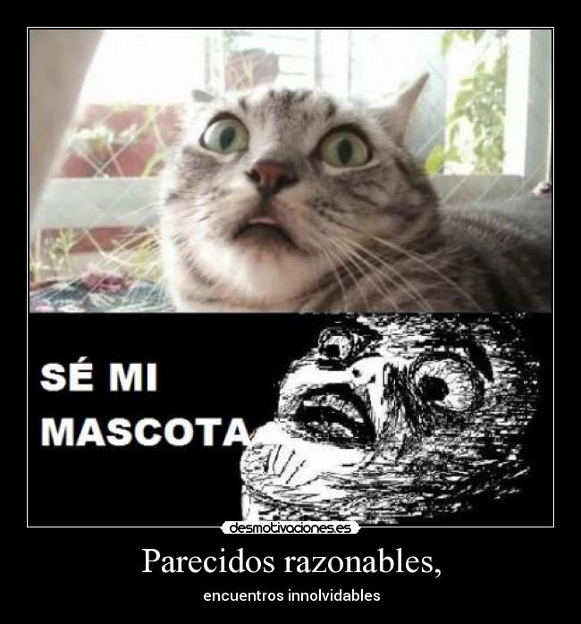 Parecidos razonables, - encuentros innolvidables