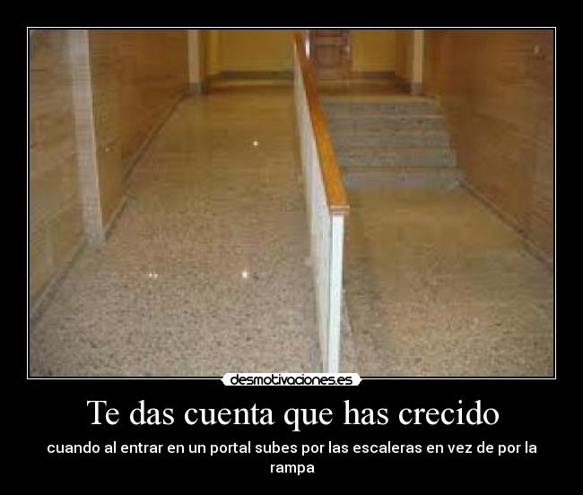 Te das cuenta que has crecido - 