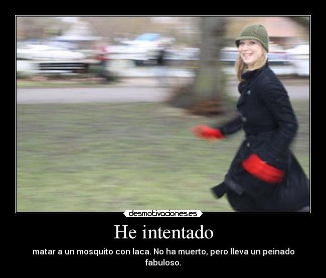 He intentado - matar a un mosquito con laca. No ha muerto, pero lleva un peinado fabuloso.