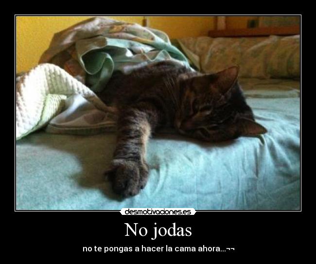 No jodas - 