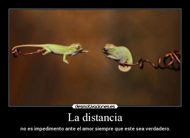 La distancia - no es impedimento ante el amor siempre que este sea verdadero.