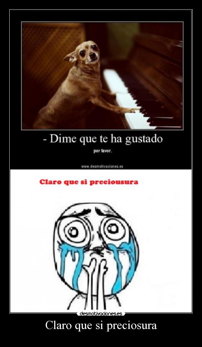 carteles perrito tierno piano dime que encantado claro que desmotivaciones