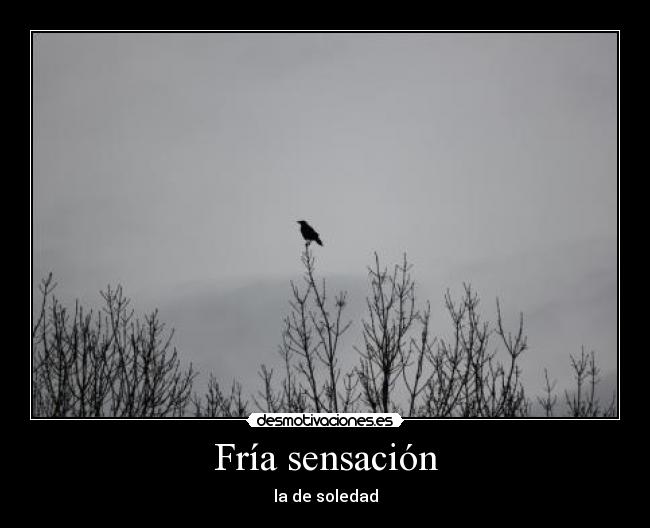 Fría sensación - la de soledad