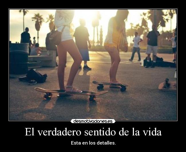 carteles vida vida amistad desmotivaciones