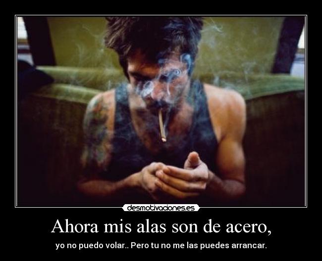 Ahora mis alas son de acero, - yo no puedo volar.. Pero tu no me las puedes arrancar.