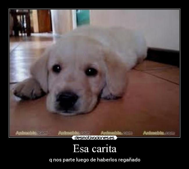 Esa carita - 