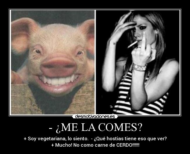 - ¿ME LA COMES? - + Soy vegetariana, lo siento.  - ¿Qué hostias tiene eso que ver?
+ Mucho! No como carne de CERDO!!!!!!