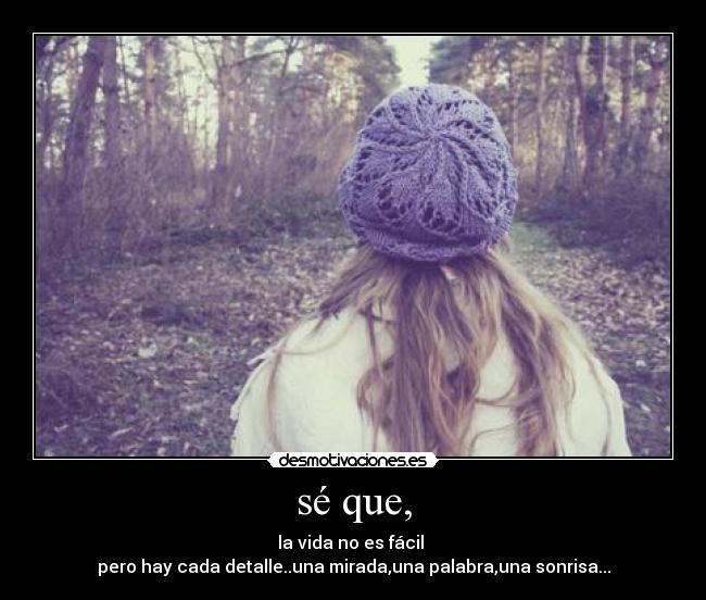 carteles vida facil desmotivaciones