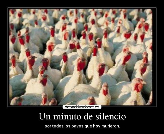 Un minuto de silencio - por todos los pavos que hoy murieron.