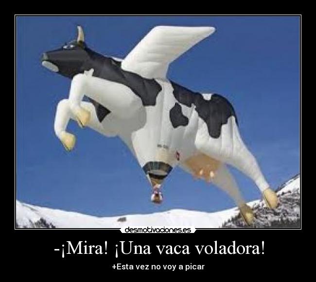 -¡Mira! ¡Una vaca voladora! - 