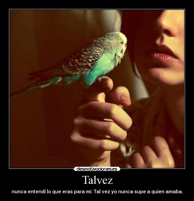Talvez - 