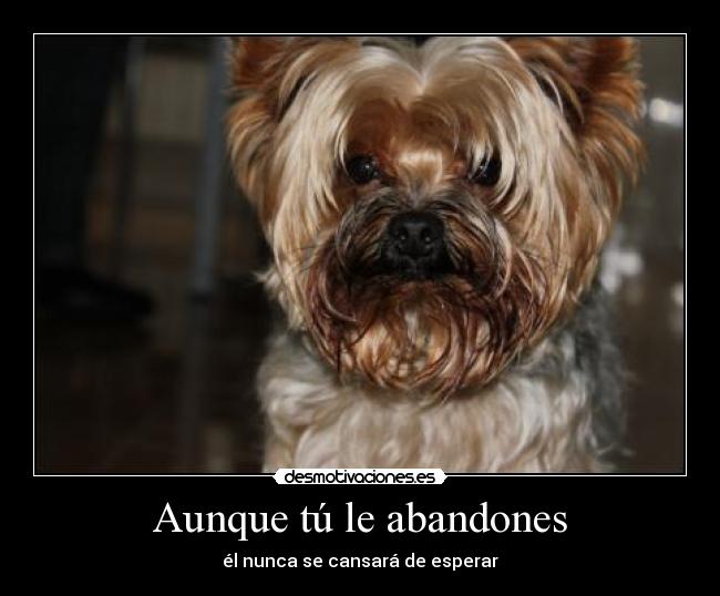 Aunque tú le abandones - él nunca se cansará de esperar