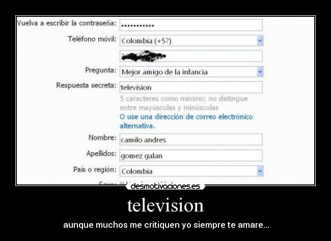 television -
