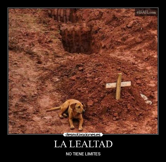 LA LEALTAD -