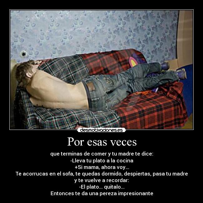 carteles por esas veces desmotivaciones