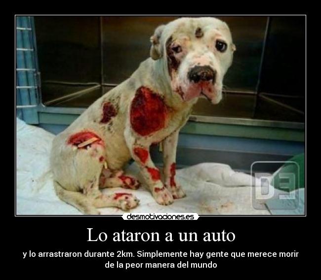 carteles leiitohpuntoguionalto desmotivaciones