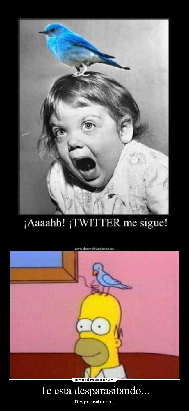 Te está desparasitando... - Desparasitando...