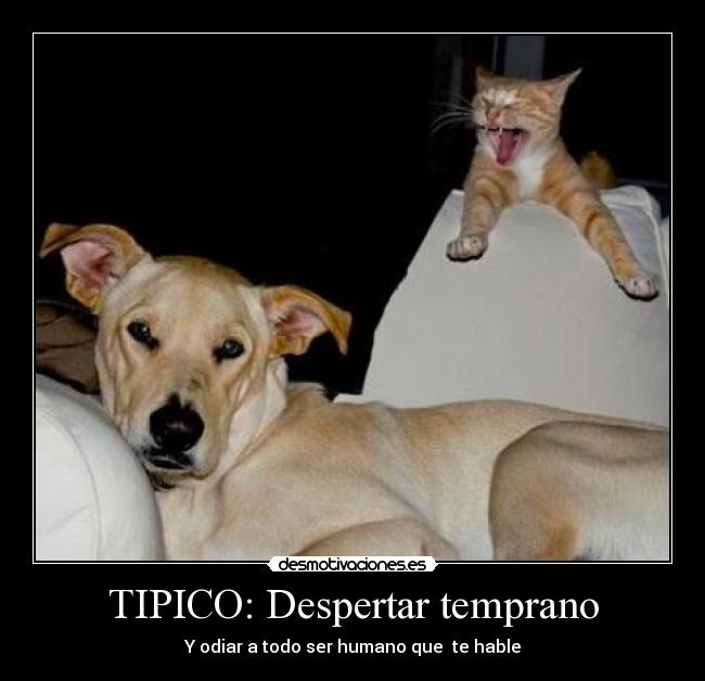 TIPICO: Despertar temprano - Y odiar a todo ser humano que te hable