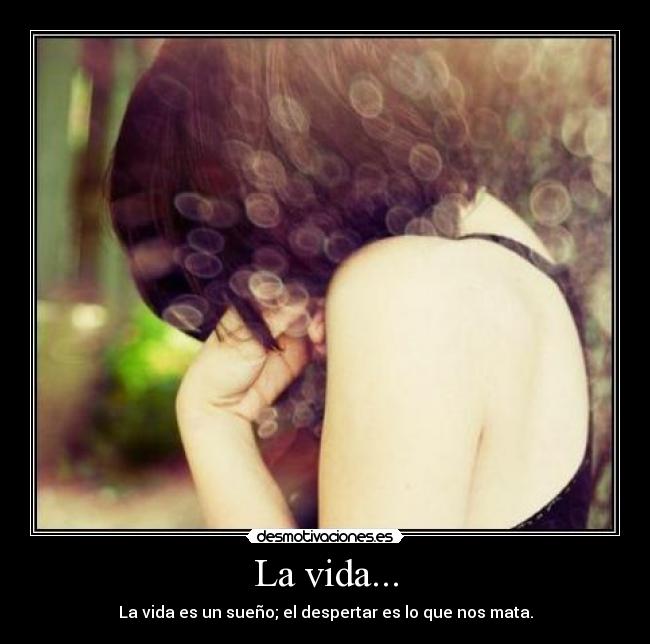 La vida... - 