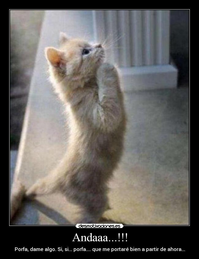 Andaaa...!!! - Porfa, dame algo. Si, si... porfa.... que me portaré bien a partir de ahora...