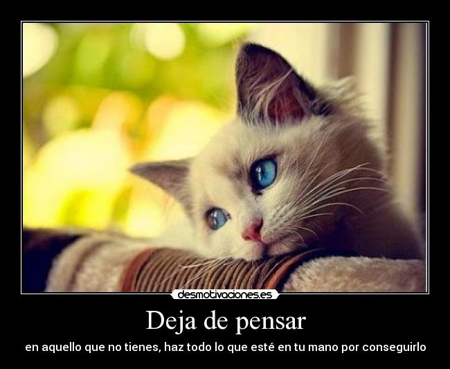 Deja de pensar - en aquello que no tienes, haz todo lo que esté en tu mano por conseguirlo