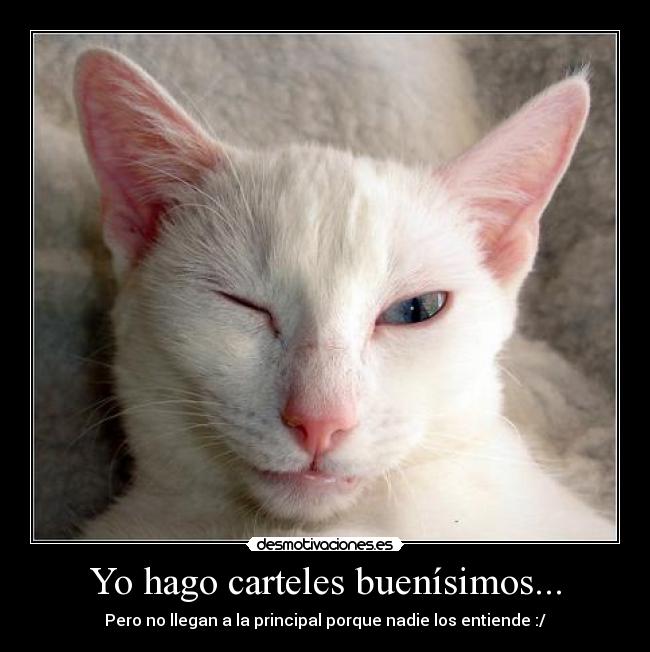 Yo hago carteles buenísimos... - 