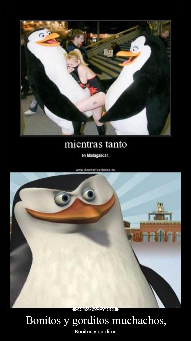 Bonitos y gorditos muchachos, - 