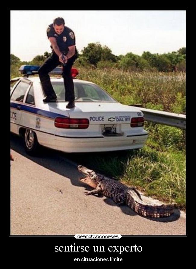 sentirse un experto - en situaciones límite