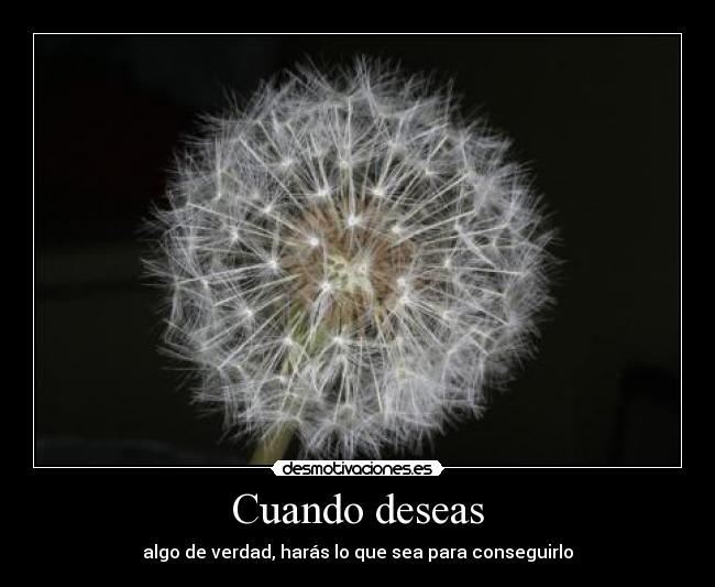 Cuando deseas -
