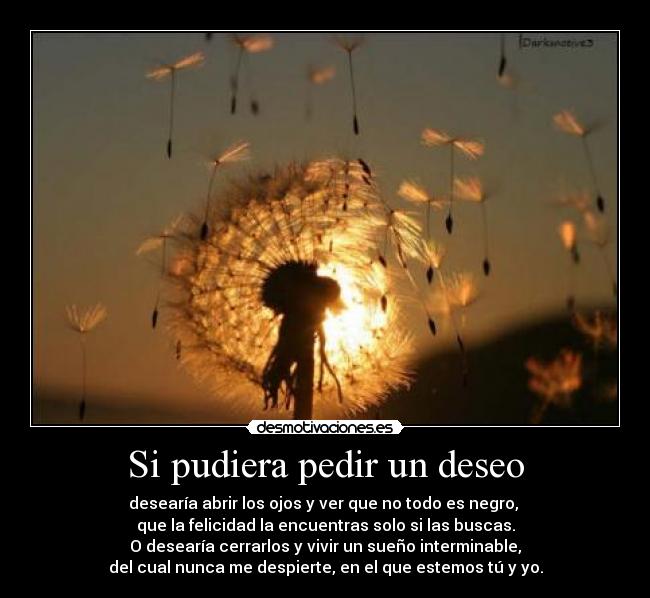 Si pudiera pedir un deseo - desearía abrir los ojos y ver que no todo es negro, 
que la felicidad la encuentras solo si las buscas.
O desearía cerrarlos y vivir un sueño interminable,
del cual nunca me despierte, en el que estemos tú y yo.