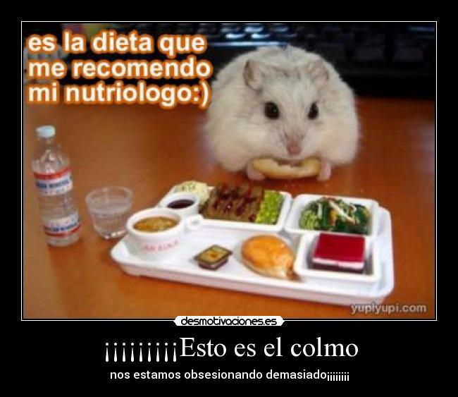 ¡¡¡¡¡¡¡¡¡Esto es el colmo - nos estamos obsesionando demasiado¡¡¡¡¡¡¡¡