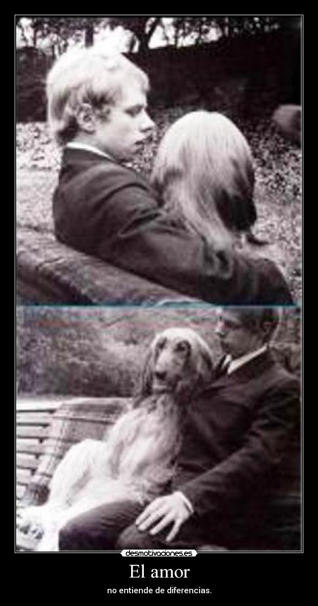 carteles amor diferencias desmotivaciones