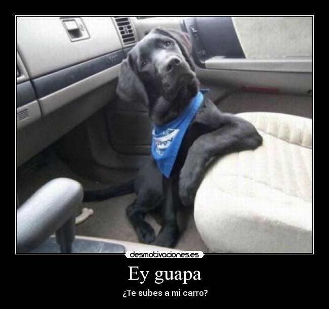 Ey guapa -