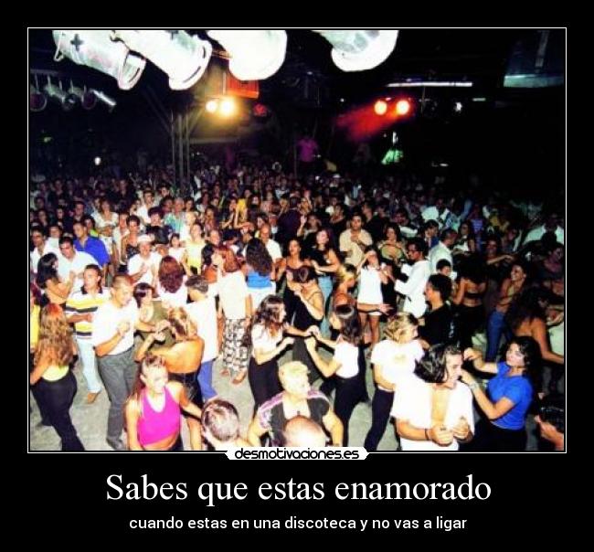 Sabes que estas enamorado - cuando estas en una discoteca y no vas a ligar