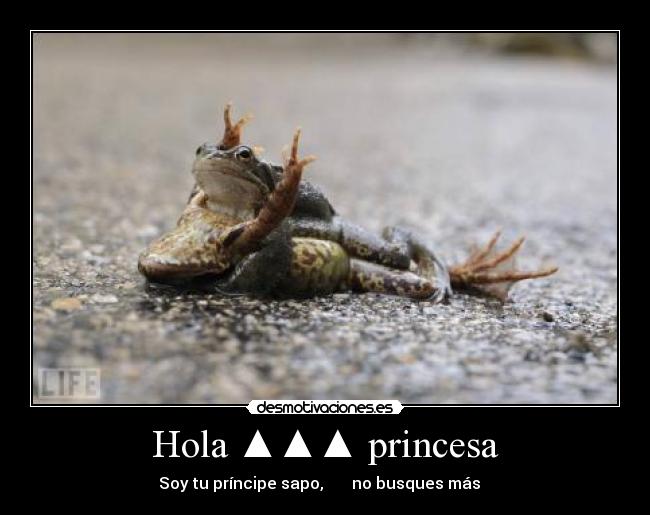 Hola ▲▲▲ princesa - Soy tu príncipe sapo, no busques más ♣♣♣