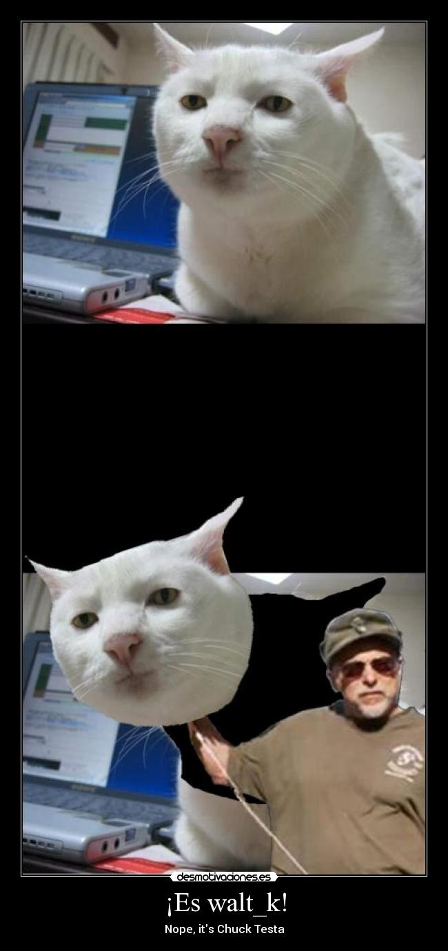 ¡Es walt_k! -
