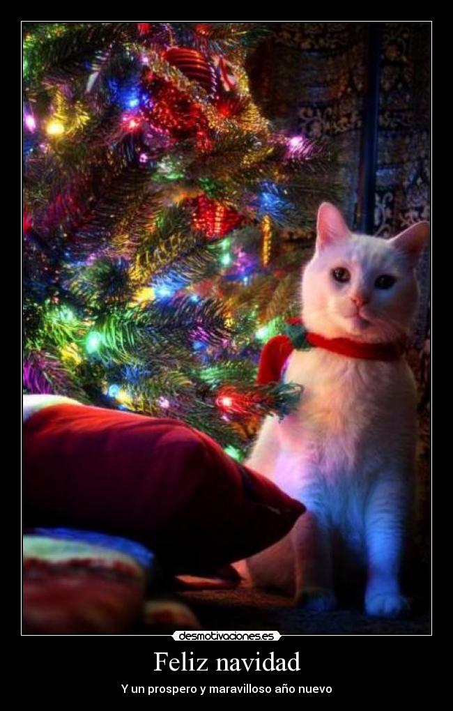 Feliz navidad - Y un prospero y maravilloso año nuevo