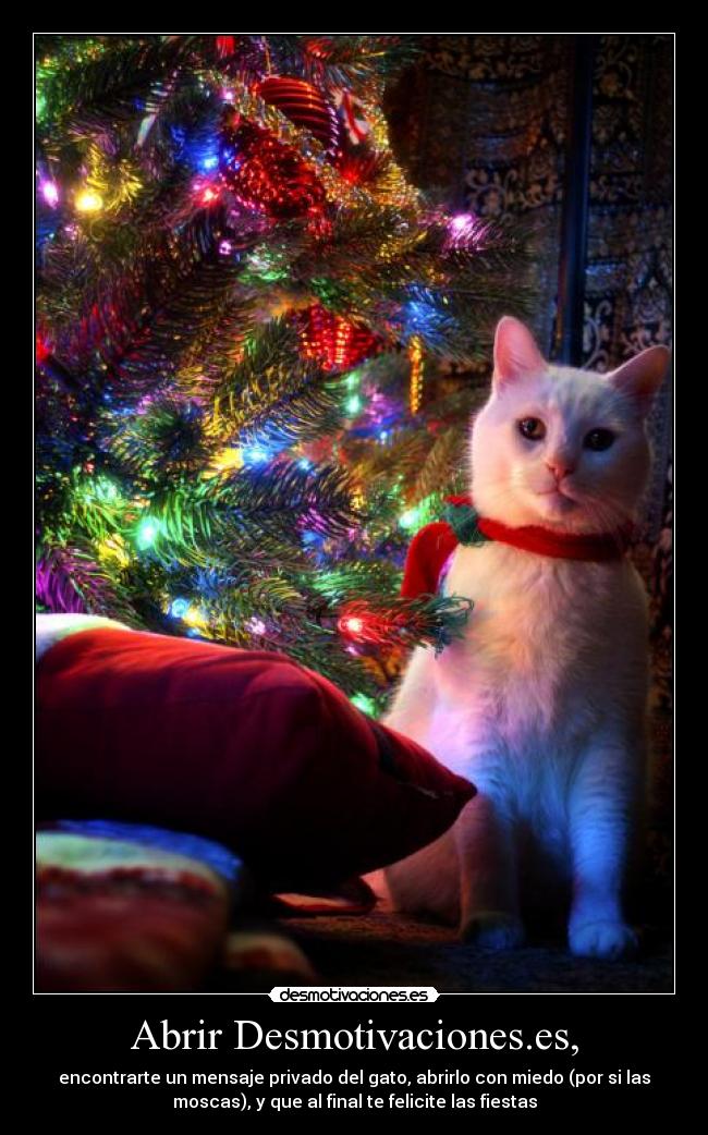 carteles pensar que hice que pongan corbata desmotivaciones