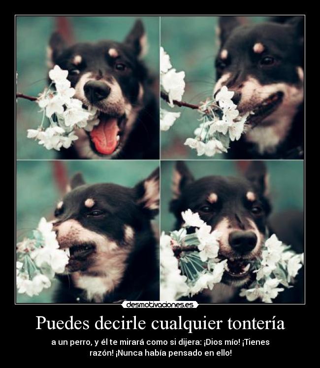 Puedes decirle cualquier tontería - 