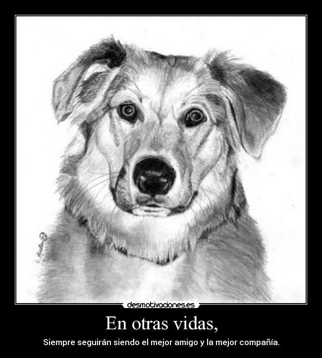 En otras vidas, - Siempre seguirán siendo el mejor amigo y la mejor compañía.