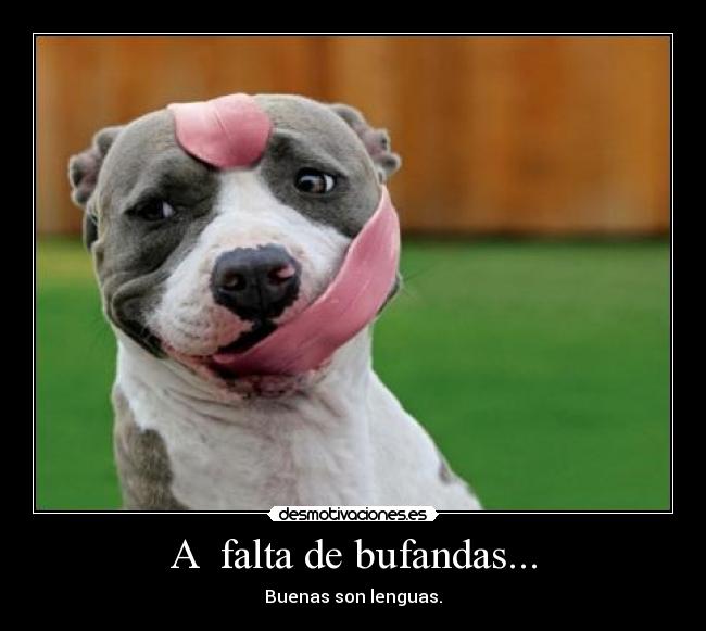 A falta de bufandas... - Buenas son lenguas.