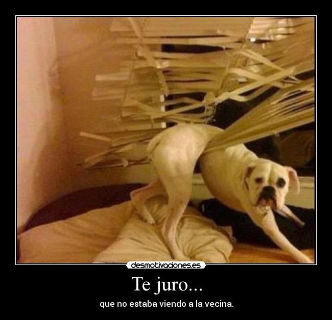 Te juro... -