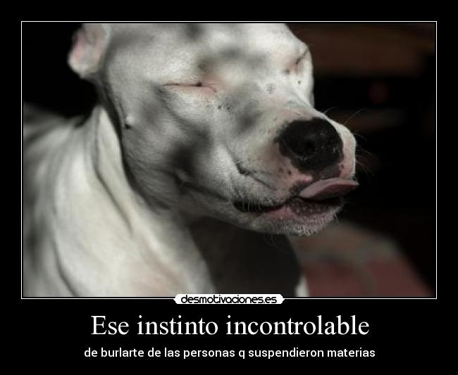 Ese instinto incontrolable - de burlarte de las personas q suspendieron materias