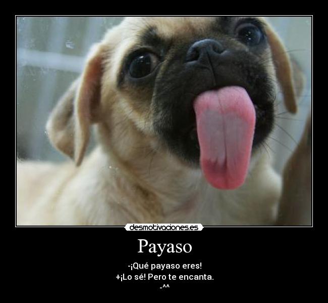 Payaso - -¡Qué payaso eres!
+¡Lo sé! Pero te encanta.
-^^