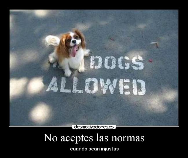 No aceptes las normas - cuando sean injustas