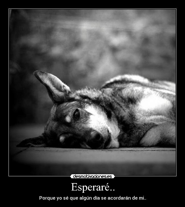 Esperaré.. - 