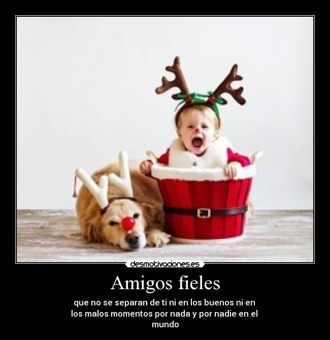 Amigos fieles - que no se separan de ti ni en los buenos ni en 
los malos momentos por nada y por nadie en el 
mundo