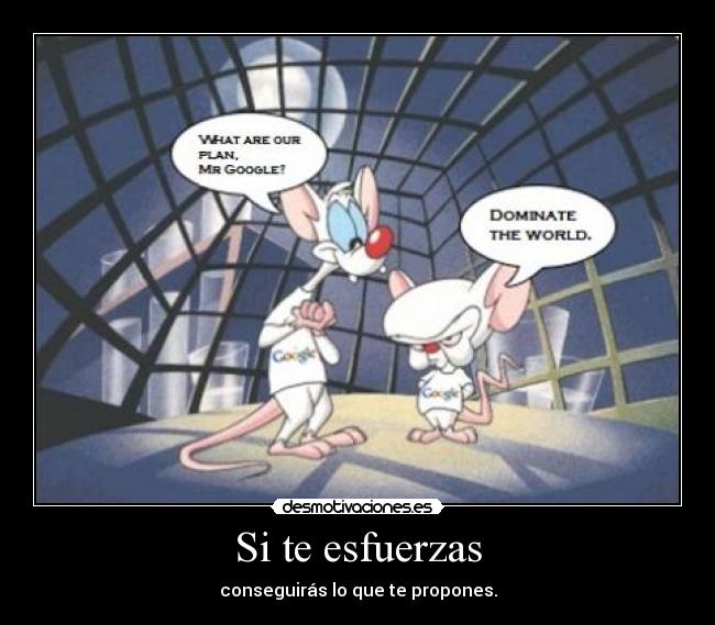 Si te esfuerzas - conseguirás lo que te propones.