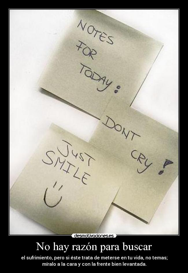No hay razón para buscar -